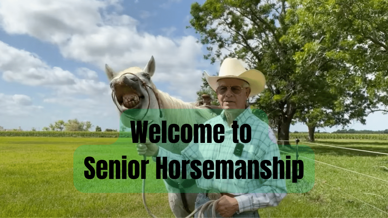 Welcome to Senior Horsemanship